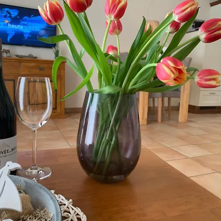 Apartament Muschelhaus - 2 *